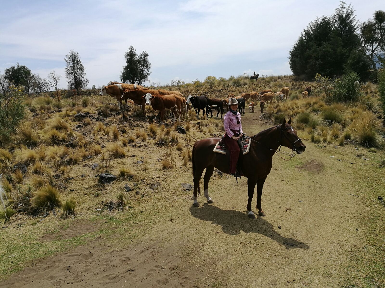 Riding in Wilderness