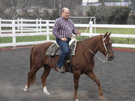 Riding Lessons & Clinics