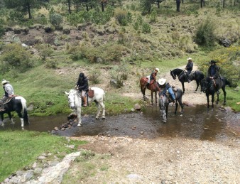 Ajusco Riding Holidays